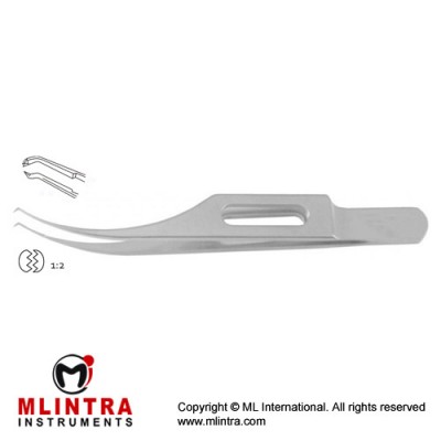Harms-Colibri Corneal Forcep Very Delicate 1 x 2 Teeth with Tying Platform Stainless Steel, 7.5 cm - 3 1/4" Tip Size 0.12 mm Harms-Colibri Corneal Forcep Very Delicate 1 x 2 Teeth with Tying Platform Stainless Steel, 7.5 cm - 3 1/4" Tip Size 0.12 mm